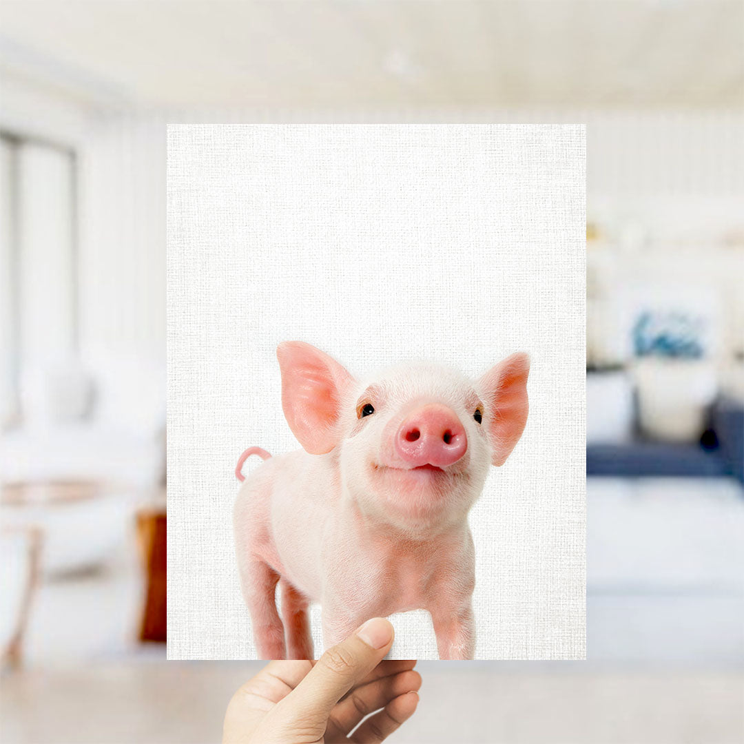 Piglet - Animal Portraits