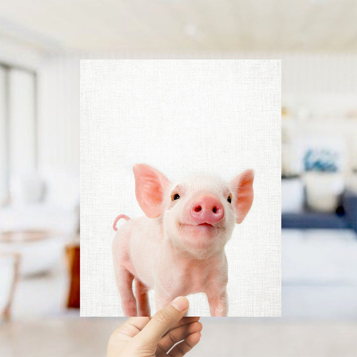 Piglet - Animal Portraits