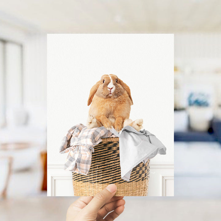 Pudgy Bunny in Laundry Basket - Simple White Wall