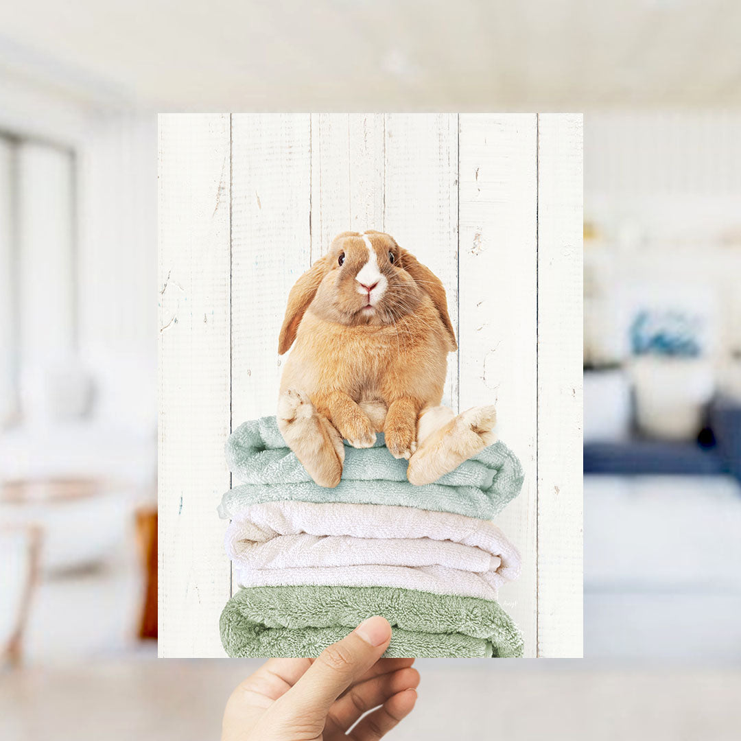Pudgy Bunny on Folded Towels - Farmhouse Wall