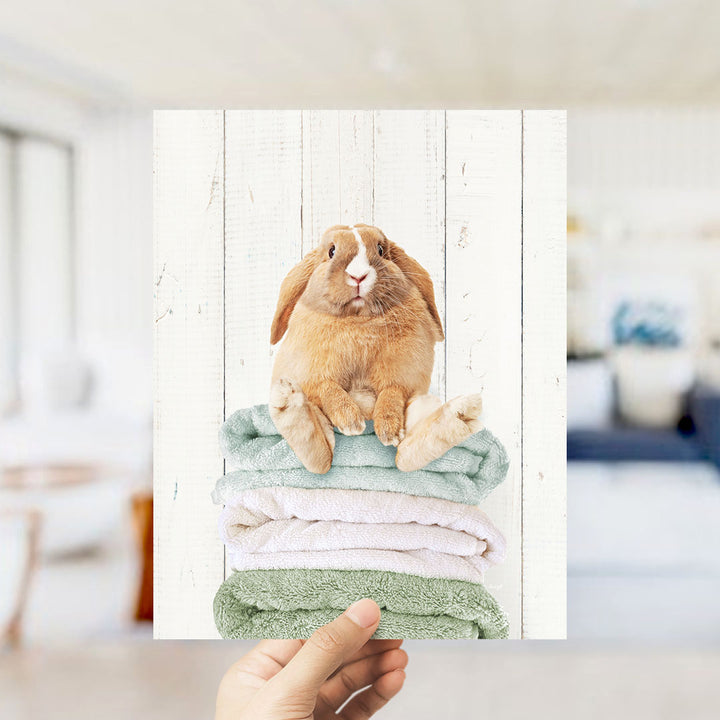 Pudgy Bunny on Folded Towels - Farmhouse Wall