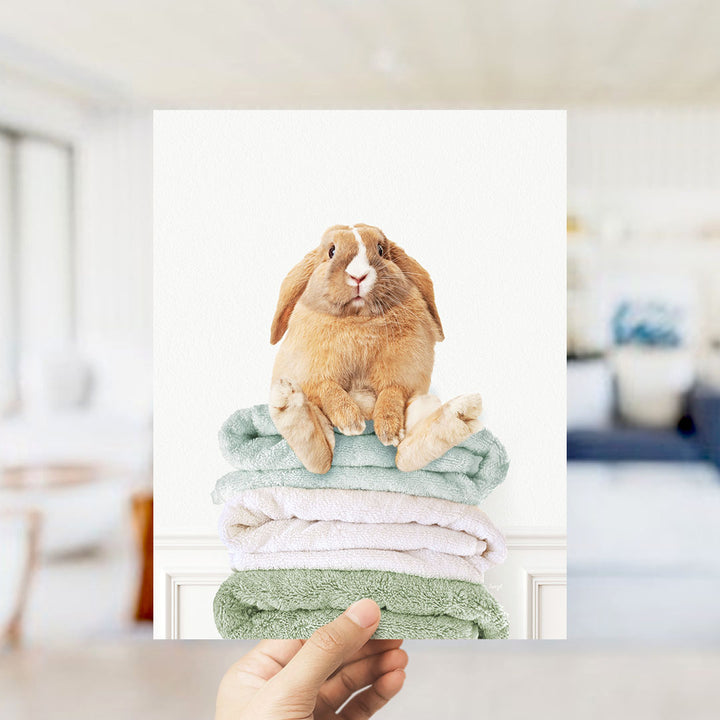 Pudgy Bunny on Folded Towels - Simple White Wall