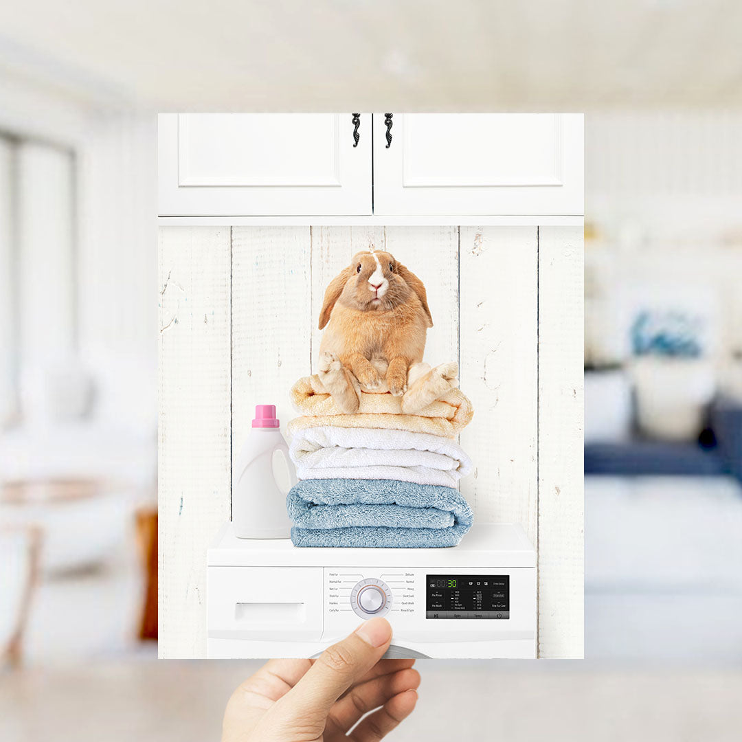 Pudgy Bunny on Folded Towels on Washing Machine - Farmhouse Wall