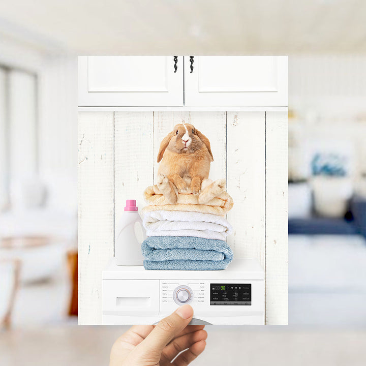 Pudgy Bunny on Folded Towels on Washing Machine - Farmhouse Wall