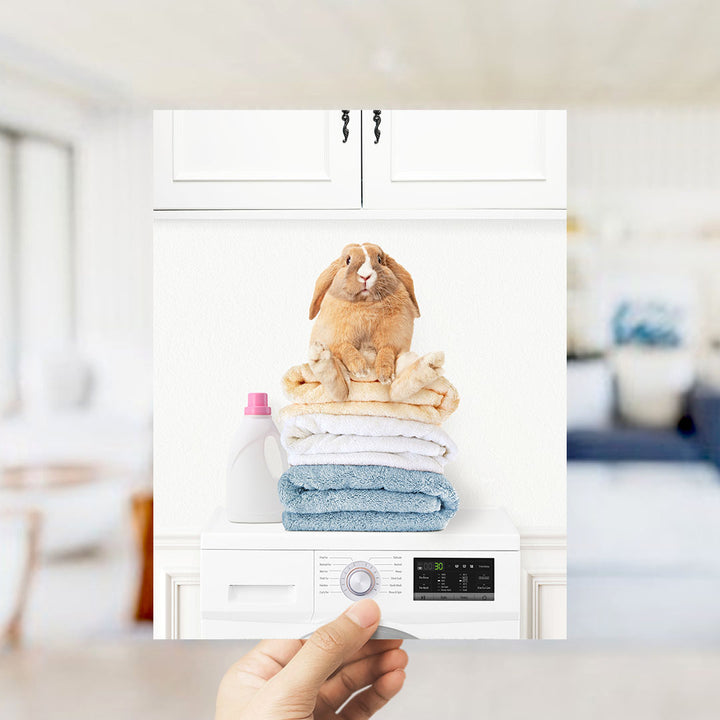Pudgy Bunny on Folded Towels on Washing Machine - Simple White Wall