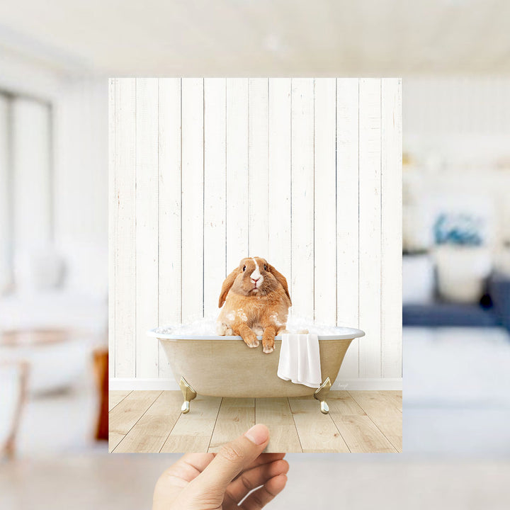 Pudgy Bunny in Farmhouse Bath