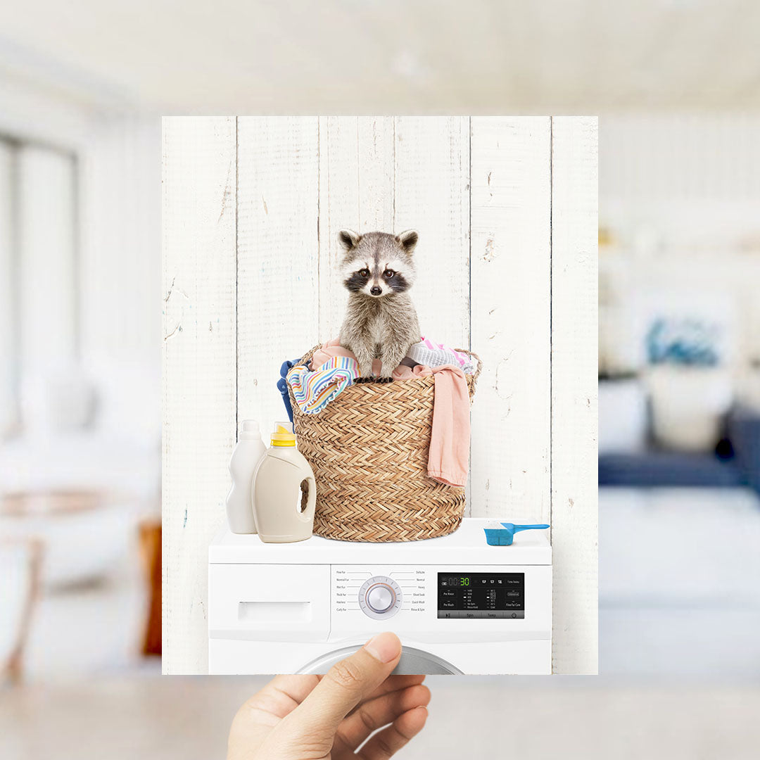 Baby Raccoon in Laundry Basket on Washing Machine - Farmhouse Wall