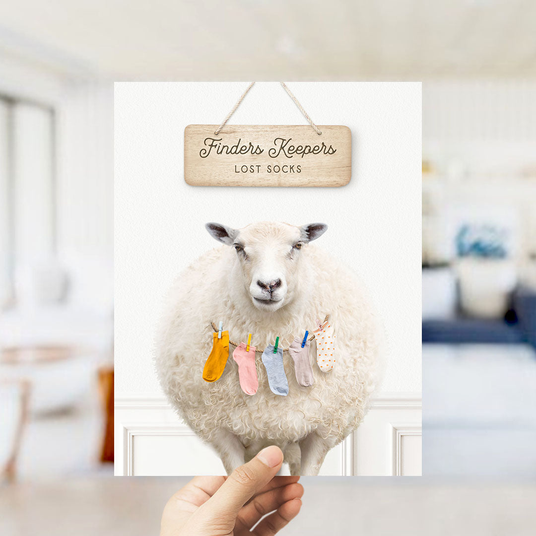 Sheep Finders Keepers Lost Socks