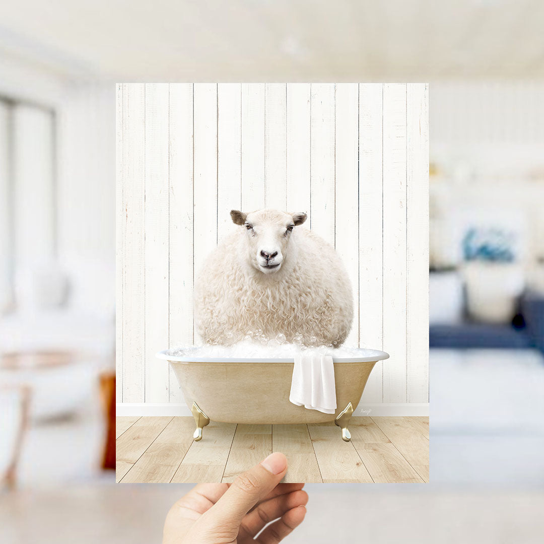 Sheep in Farmhouse Bath