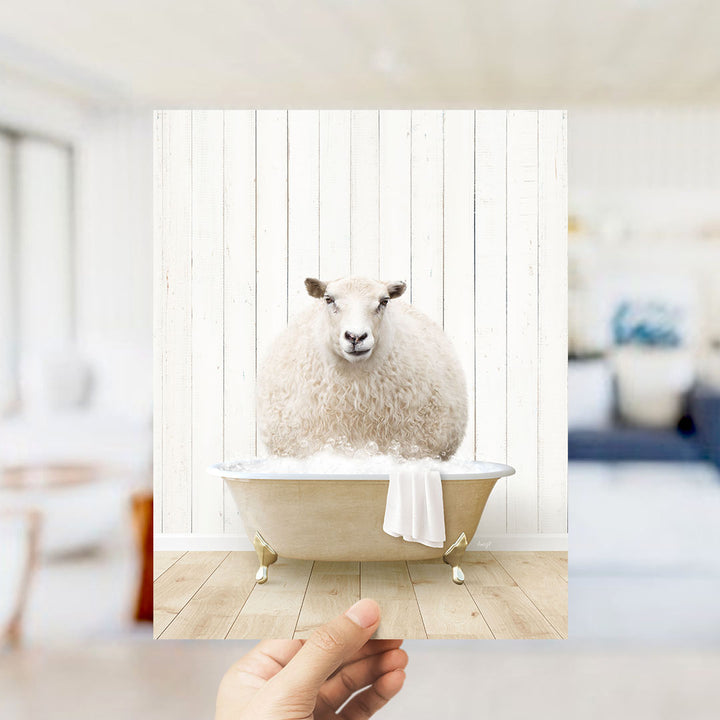 Sheep in Farmhouse Bath