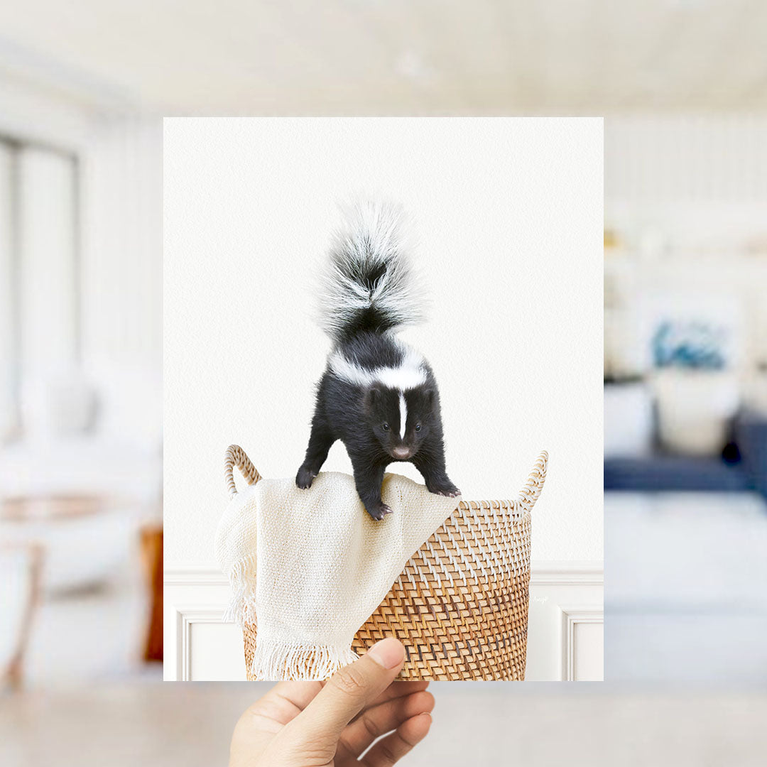 Skunk in Laundry Basket - Simple White Wall