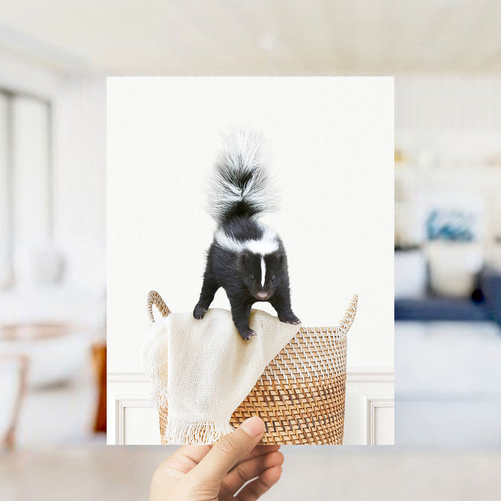 Skunk in Laundry Basket - Simple White Wall