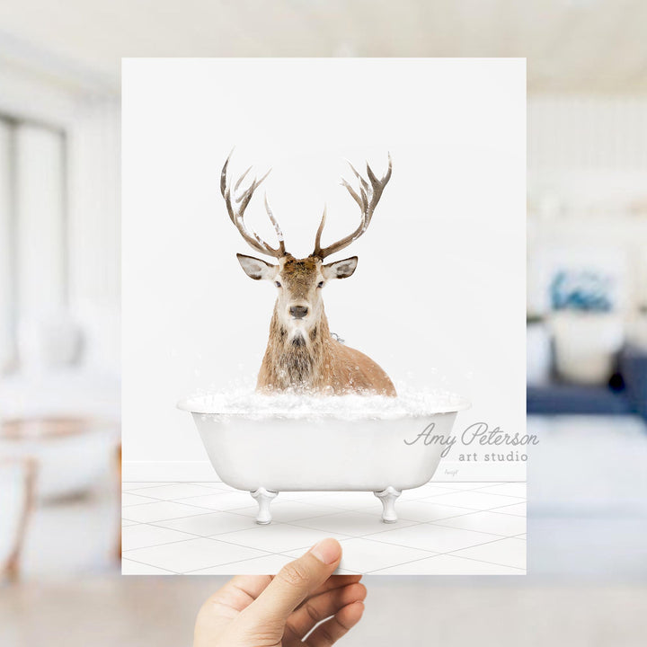 Male Stag Deer in Neutral Bath