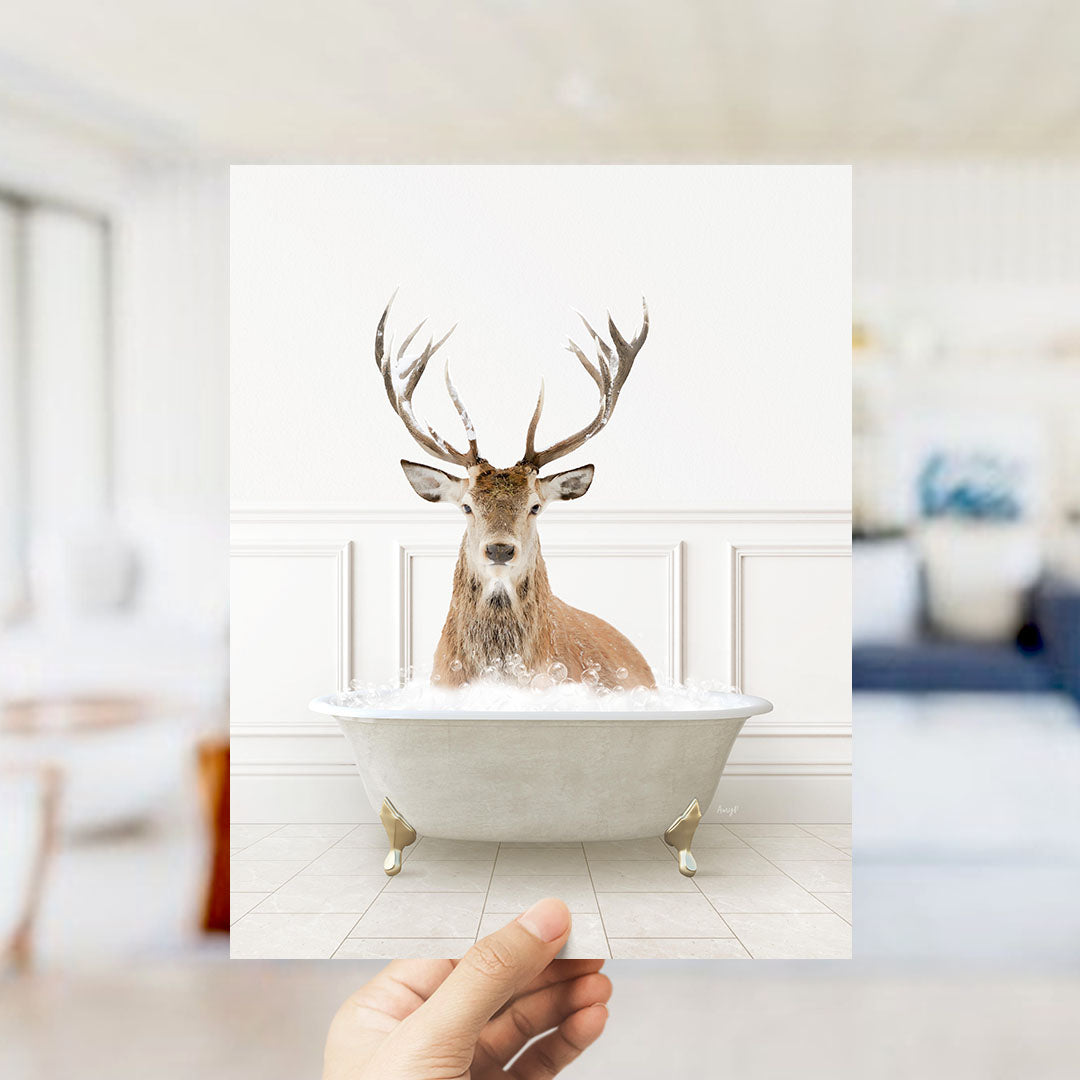 Male Deer in Modern Neutral Bath