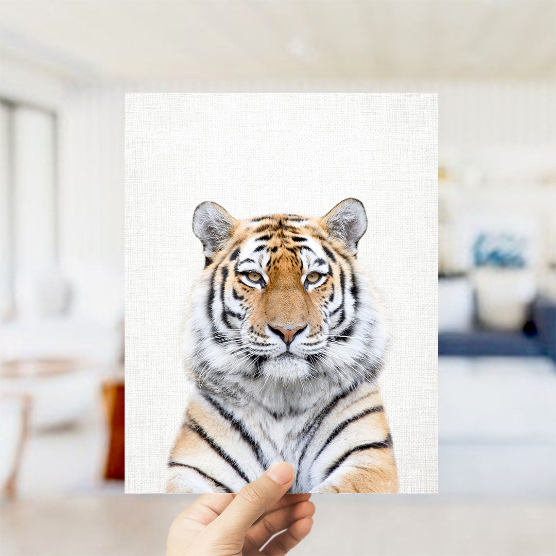 Bengal Tiger - Animal Portraits