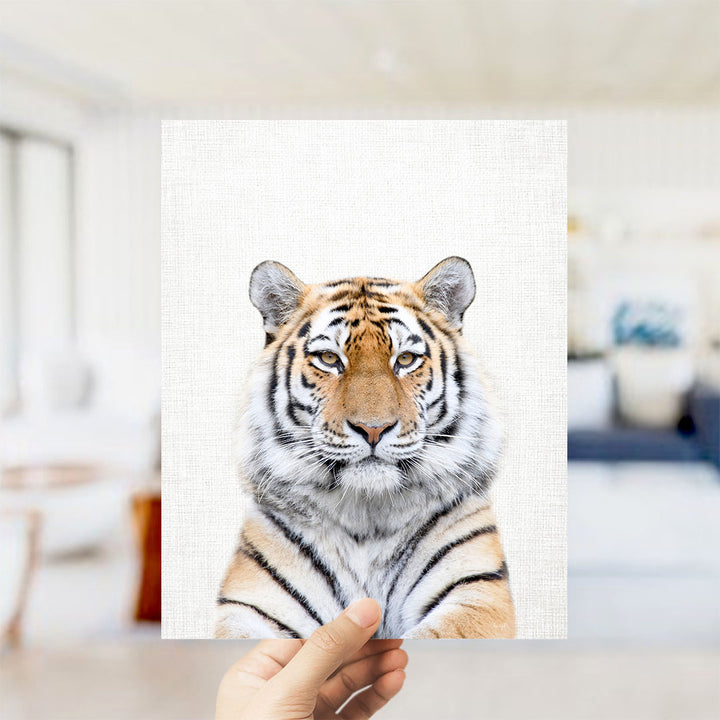 Bengal Tiger - Animal Portraits
