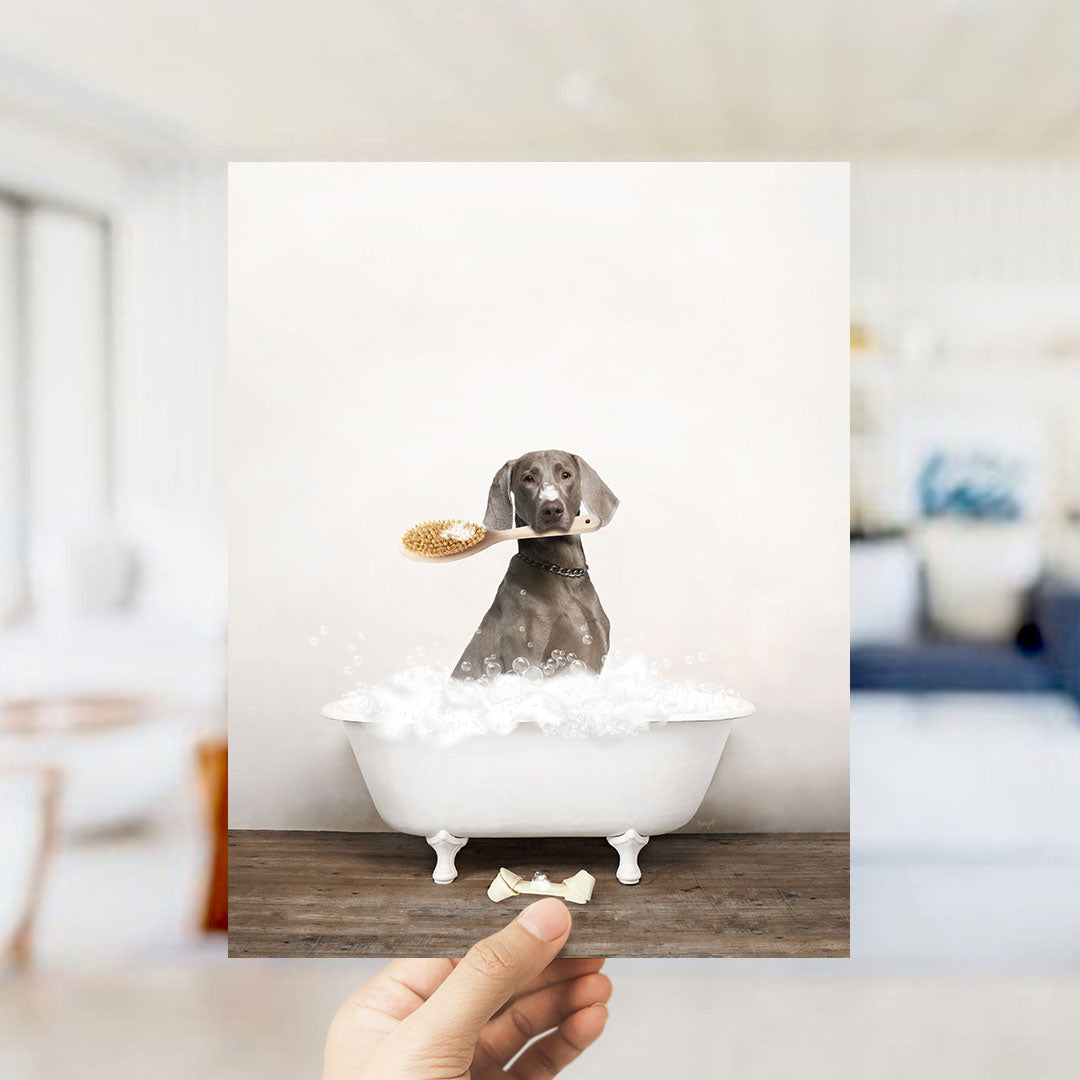 Weimaraner in Rustic Bath Style Lots of Foamy Bubbles