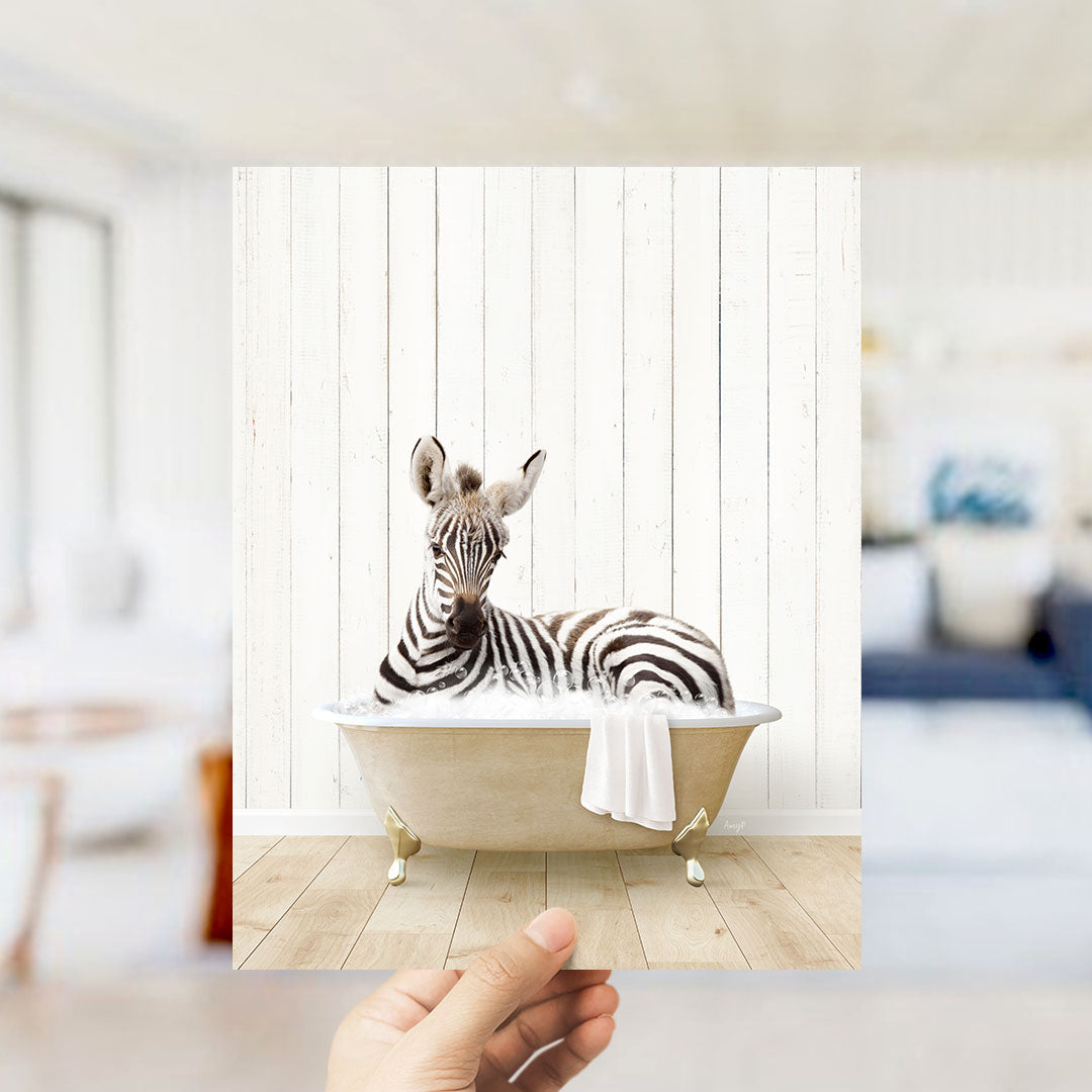 Baby Zebra in Farmhouse Bath