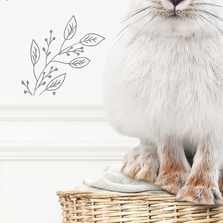 Snowshoe Hare Bunny in Laundry Basket - Assorted Wallpapers