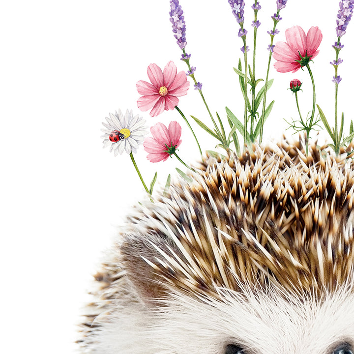 Baby Hedgehog Flower Crown