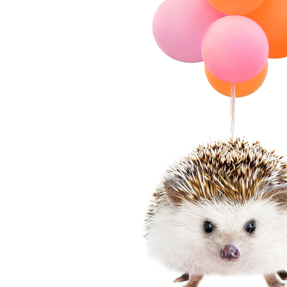 Hedgehog Balloons - Whimsy Animal