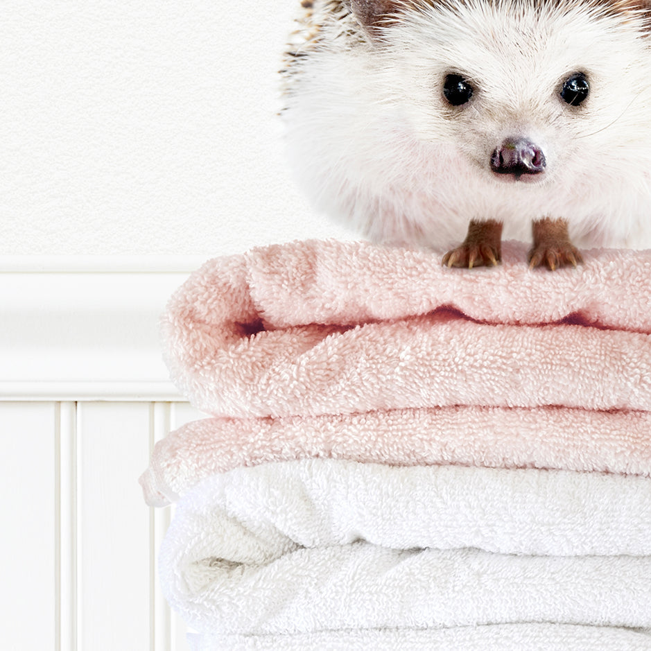 Hedgehog - Laundry Goal Fluffy Towels