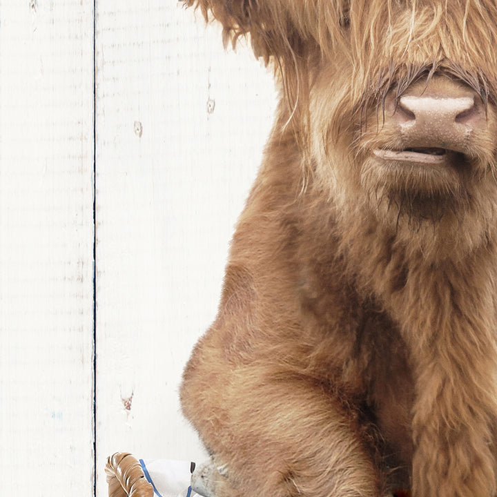 Highland Cow On Laundry Basket - Farmhouse Wall