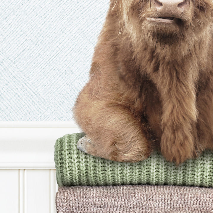 Highland Cow on Folded Sweaters - Cottage Blue Wall
