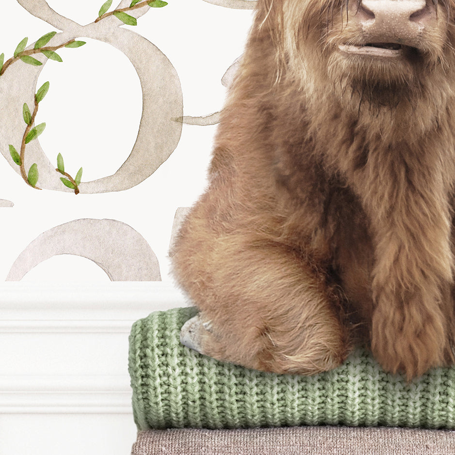 Highland Cow on Folded Sweaters - Assorted Wallpapers