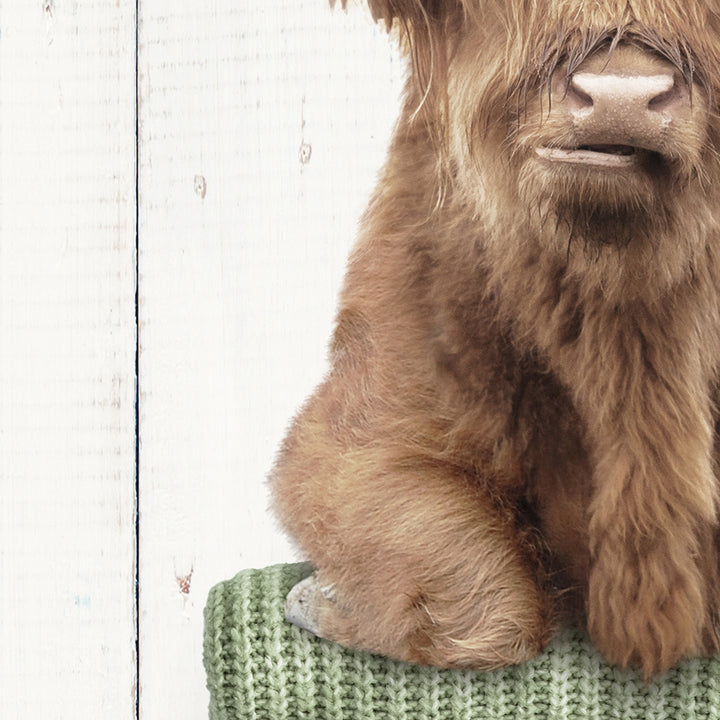 Highland Cow on Folded Sweaters - Farmhouse Wall