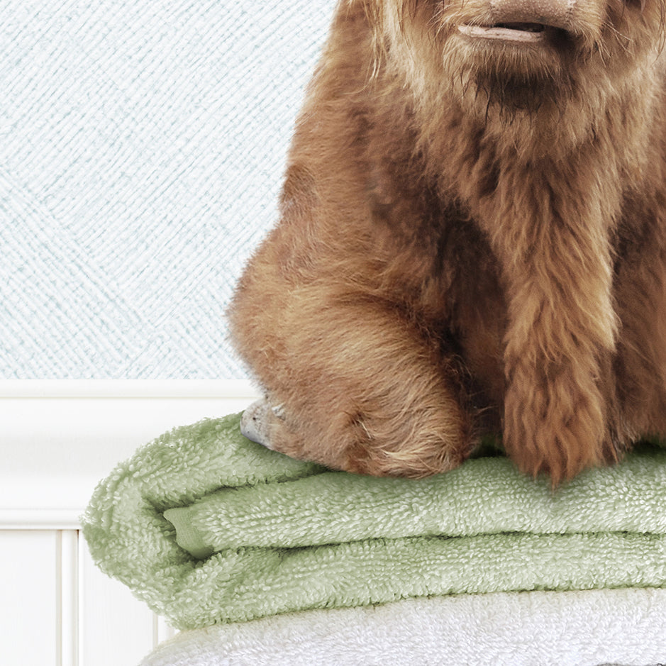 Highland Cow on Folded Towels - Cottage Blue Wall