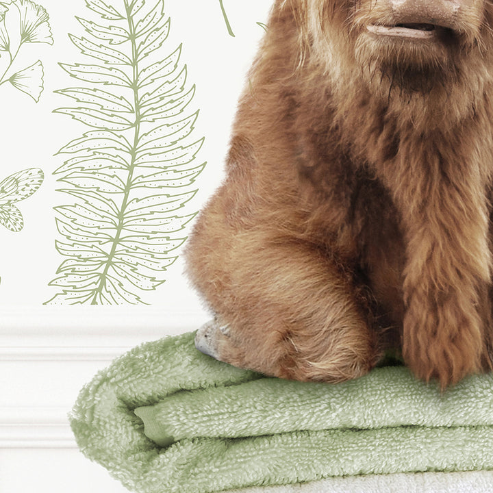 Highland Cow on Folded Towels - Assorted Wallpapers