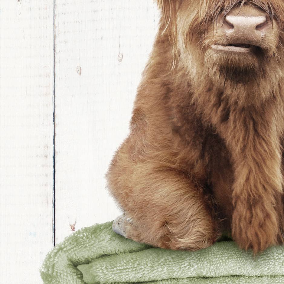 Highland Cow on Folded Towels - Farmhouse Wall