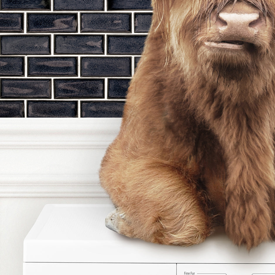 Highland Cow on Washing Machine with Black Subway Tile - Assorted Wallpapers