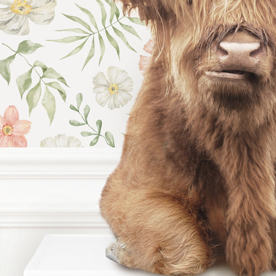 Highland Cow on Washing Machine - Assorted Wallpapers