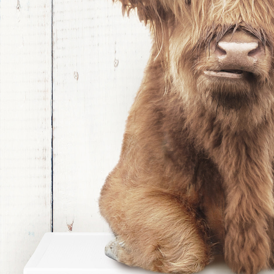 Highland Cow on Washing Machine - Farmhouse Wall