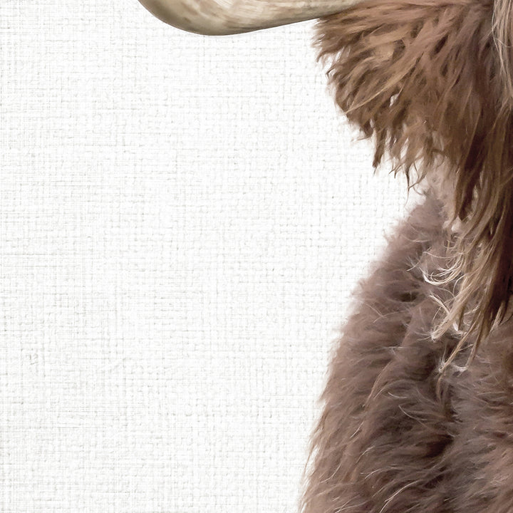 Highland Cow Off Center - Animal Portraits