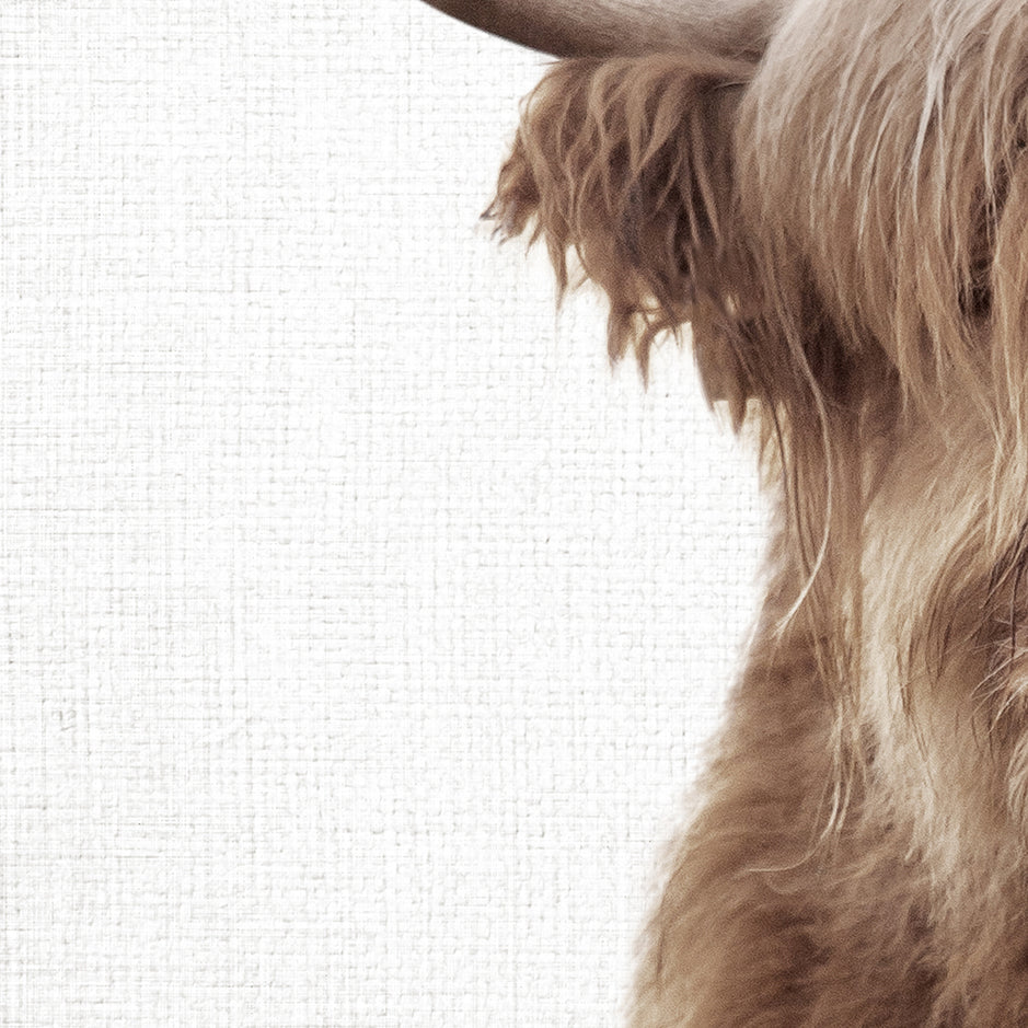 Highland Cow with Quirky Mouth - Animal Portraits