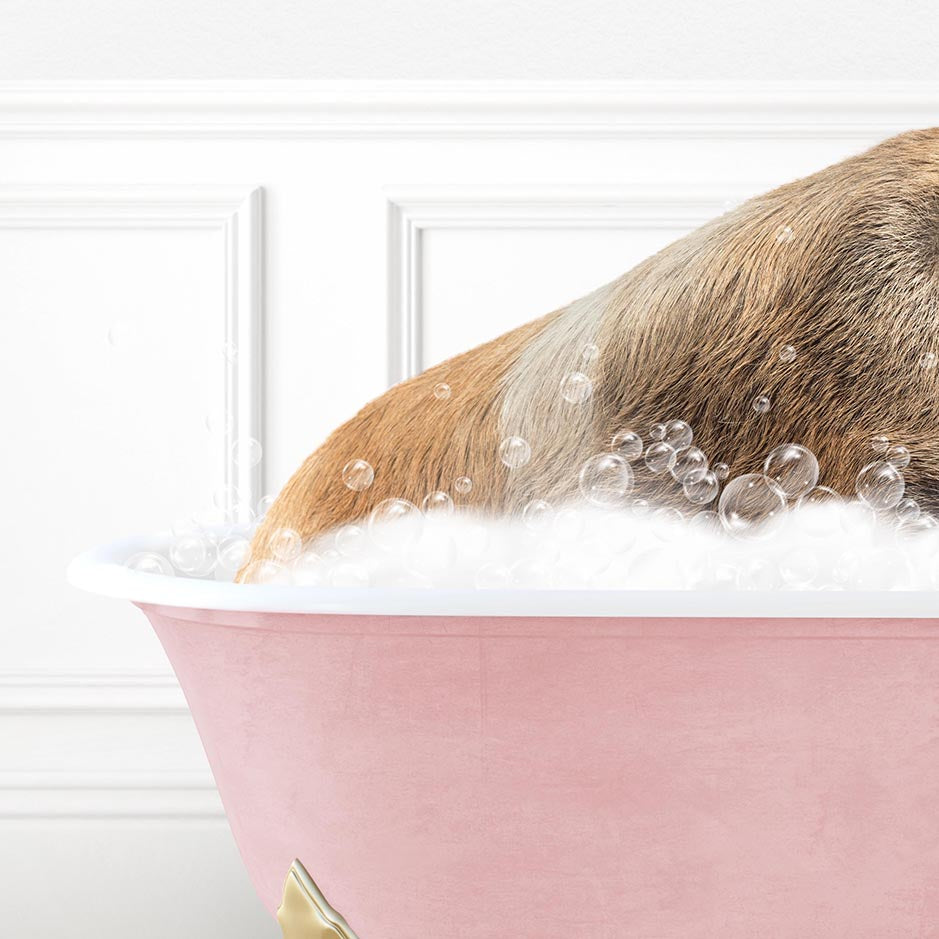 Hog in Stencil Tile with Pink Bathtub Bath