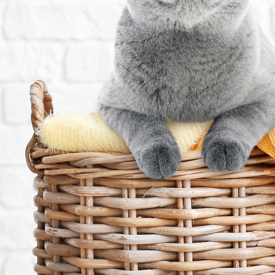 Cat in Basket - Clean Laundry Makes Me Happy