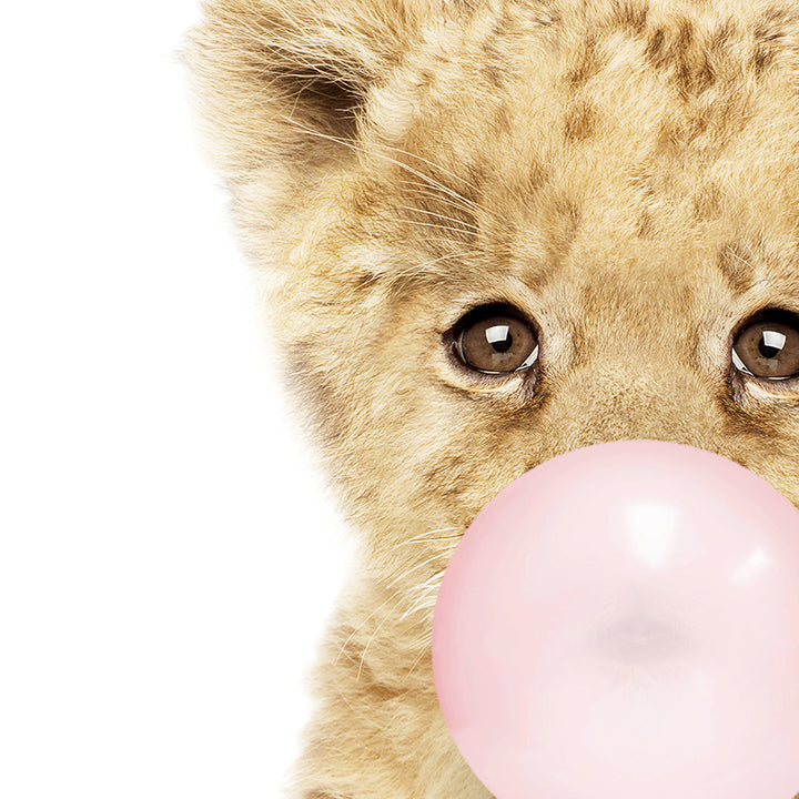 Baby Lion Cub Blowing Pink Bubble Gum