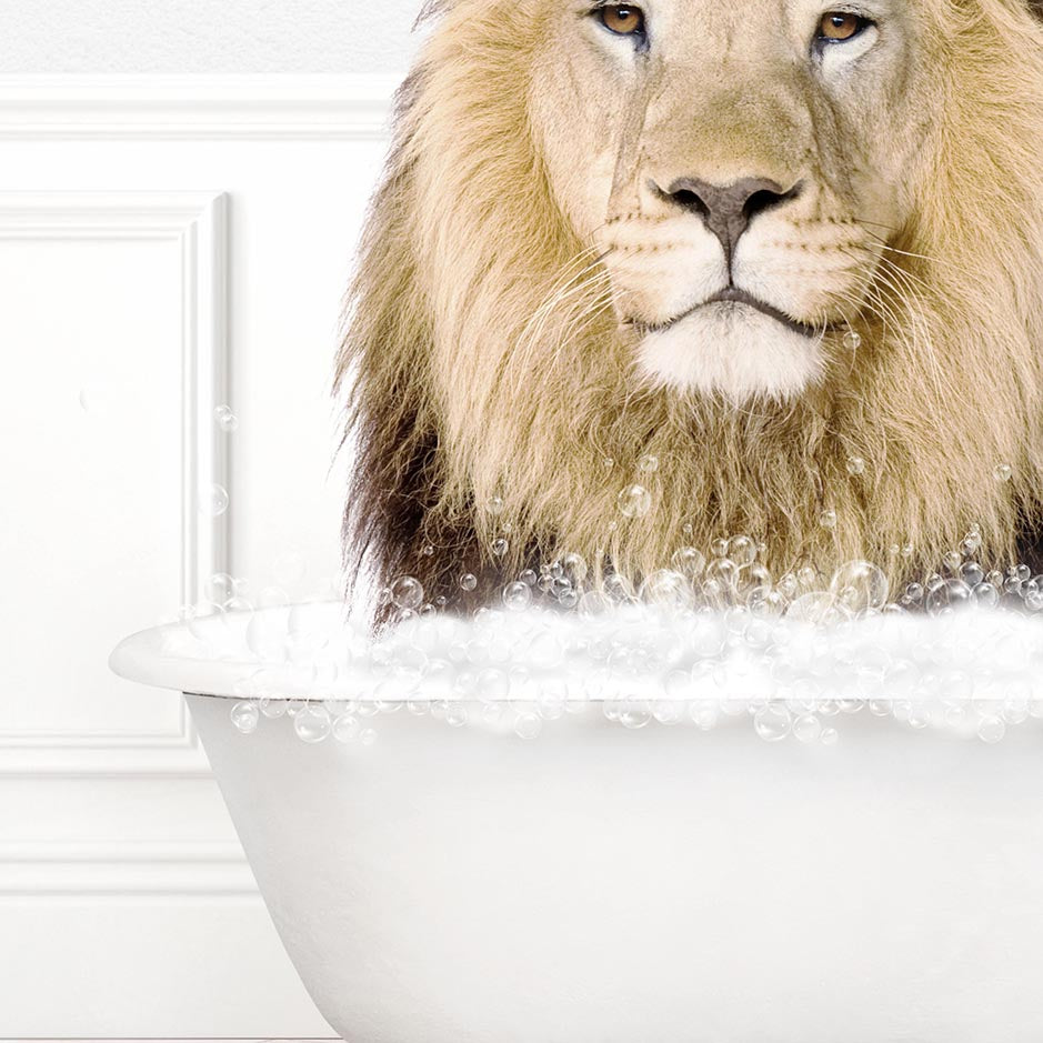 Lion in Modern Bath