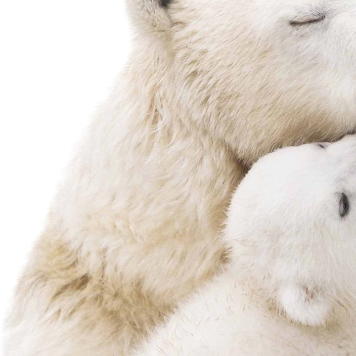 Mother and Baby Polar Bear - Animal Portraits