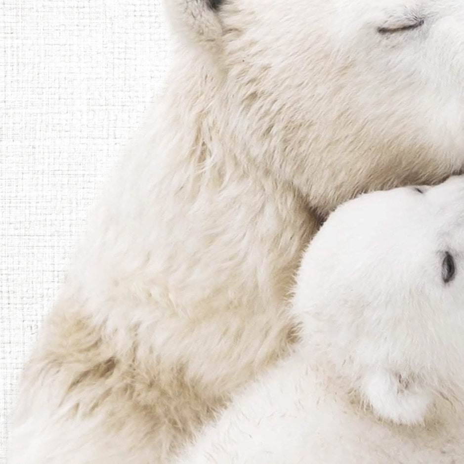 Mother and Baby Polar Bear - Animal Portraits