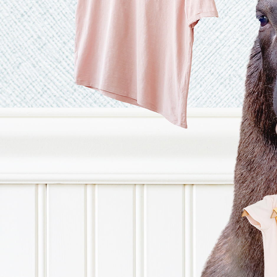 Moose with Clothes Hangers - Cottage Blue Wall