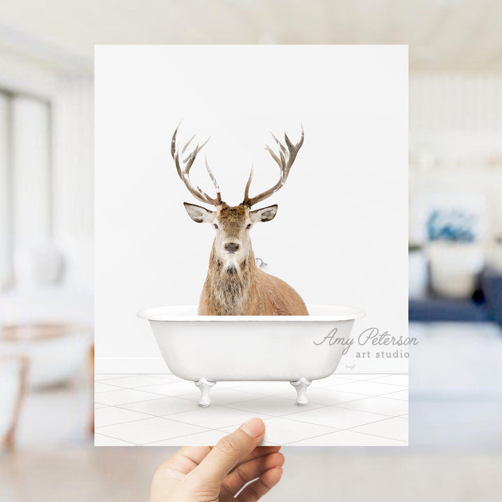 Male Stag Deer in Neutral Bath