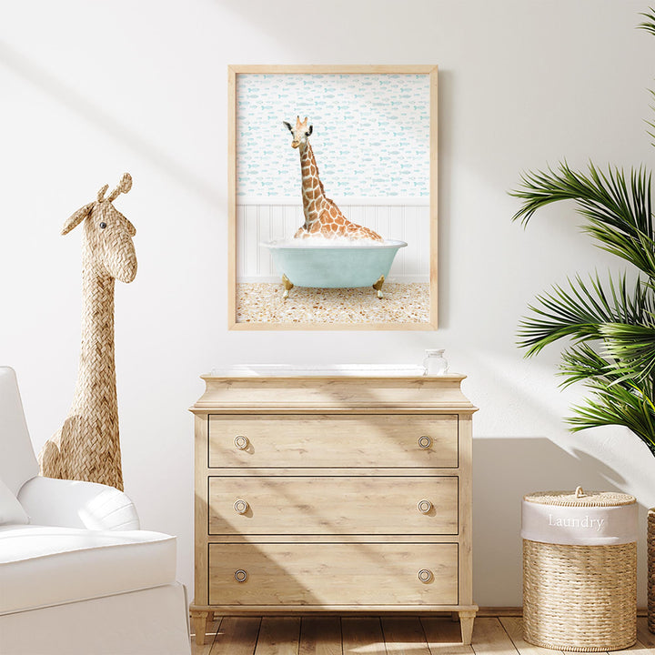 Tall Giraffe in Little Fish Bath