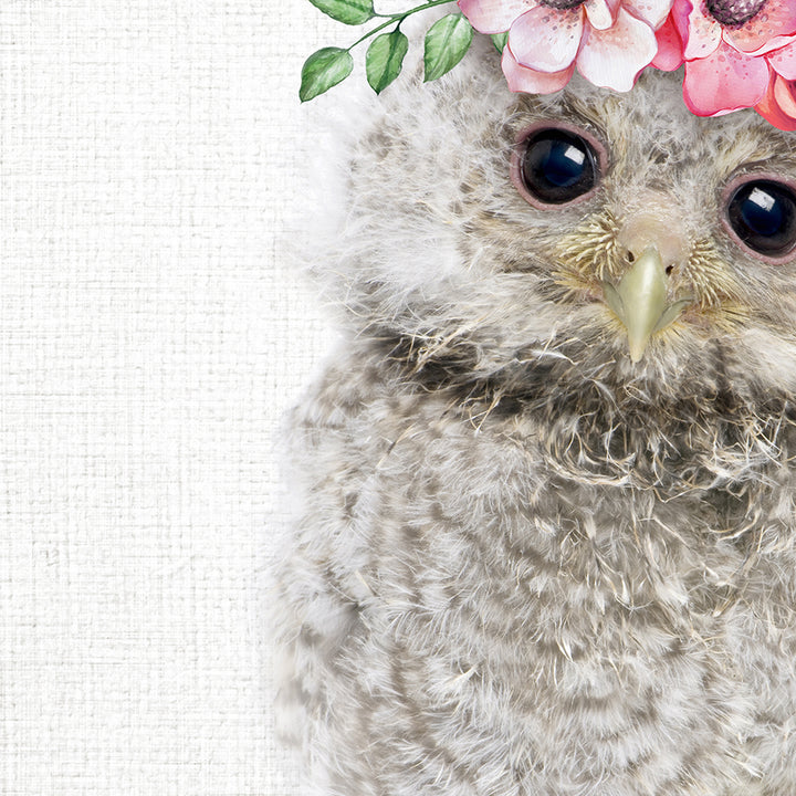 Baby Owl Flower Crown