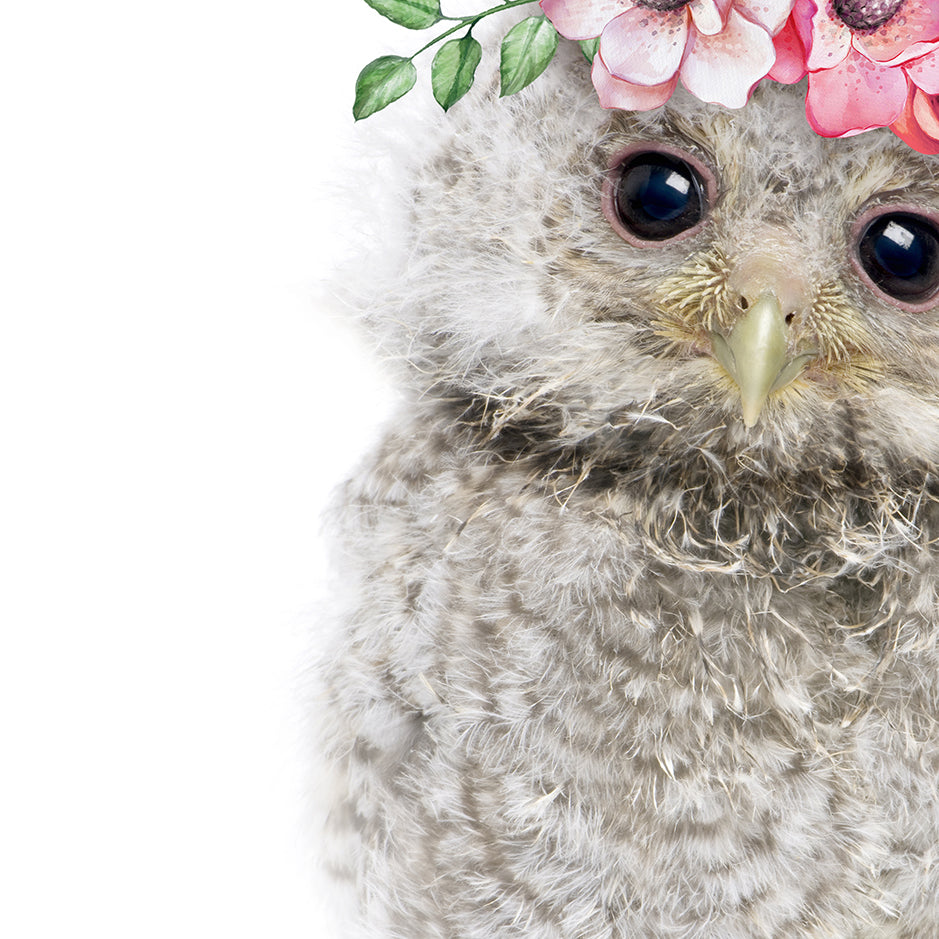 Baby Owl Flower Crown