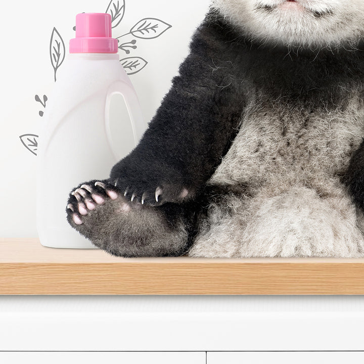 Baby Panda Sitting on Shelf Above Washing Machine - Assorted Wallpapers